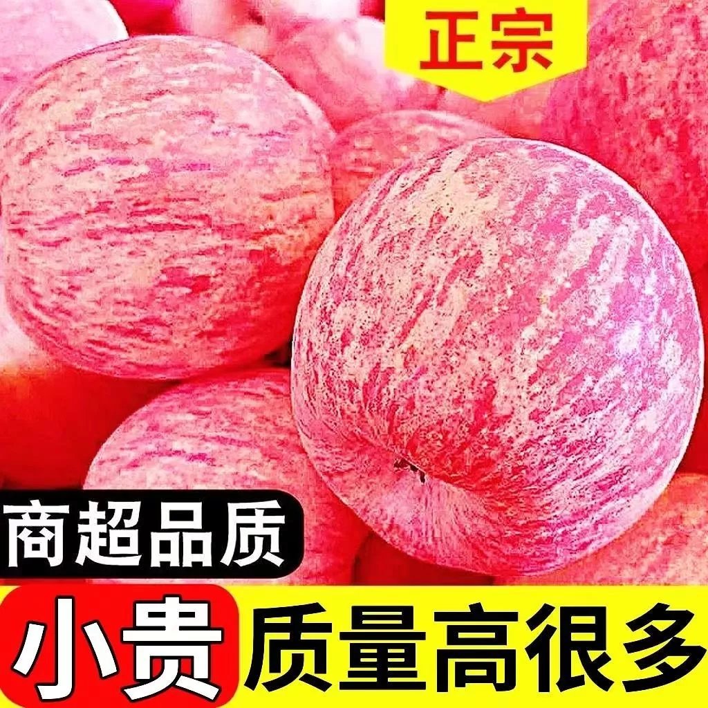 山东烟台栖霞红富士苹果水果吃的新鲜现摘脆甜一级当季整箱 正宗烟台