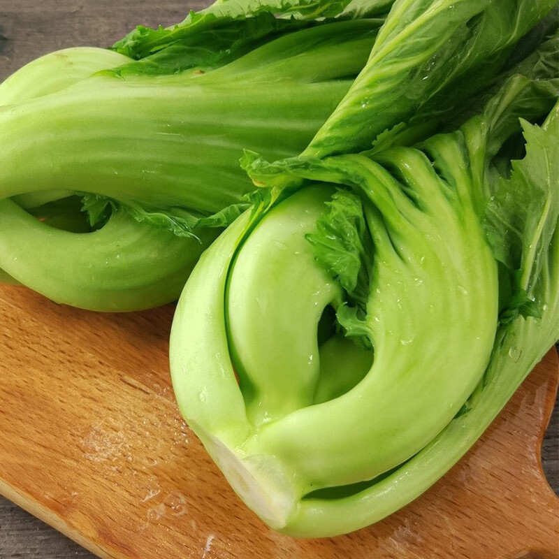 寿禾 芥菜种子水东包心疙瘩青菜菜籽蔬菜春夏季播种种籽 大肉青芥菜