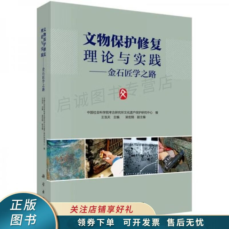 文物保护修复理论与实践：金石匠学之路 王浩天