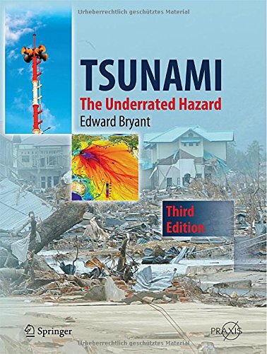 【预订】tsunami