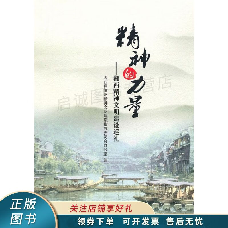 上新   精神的力量—湘西精神文明建设巡礼 陈潇 【稀缺图书,放心购买