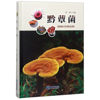 黔蕈菌
