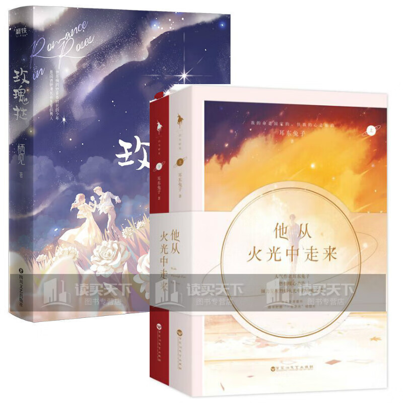 玫瑰挞 他从火光中走来 2册 栖见 青春文学校园恋爱暖萌小说 书籍