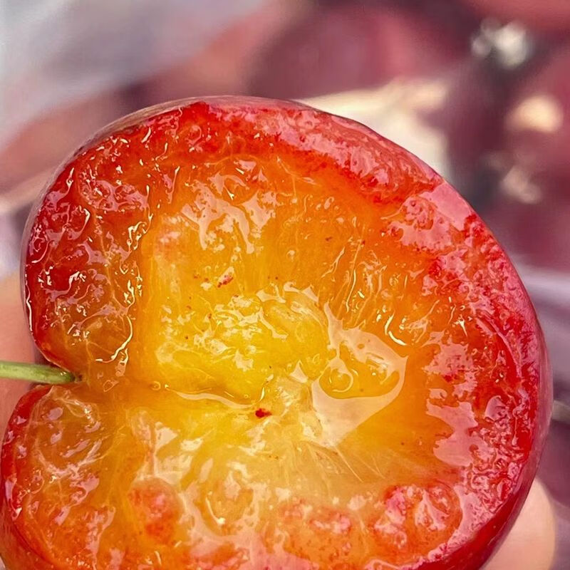 仙绘鲜智利珍珠红李子2斤 新鲜纯甜进口李子当季时令水果果香浓郁生鲜