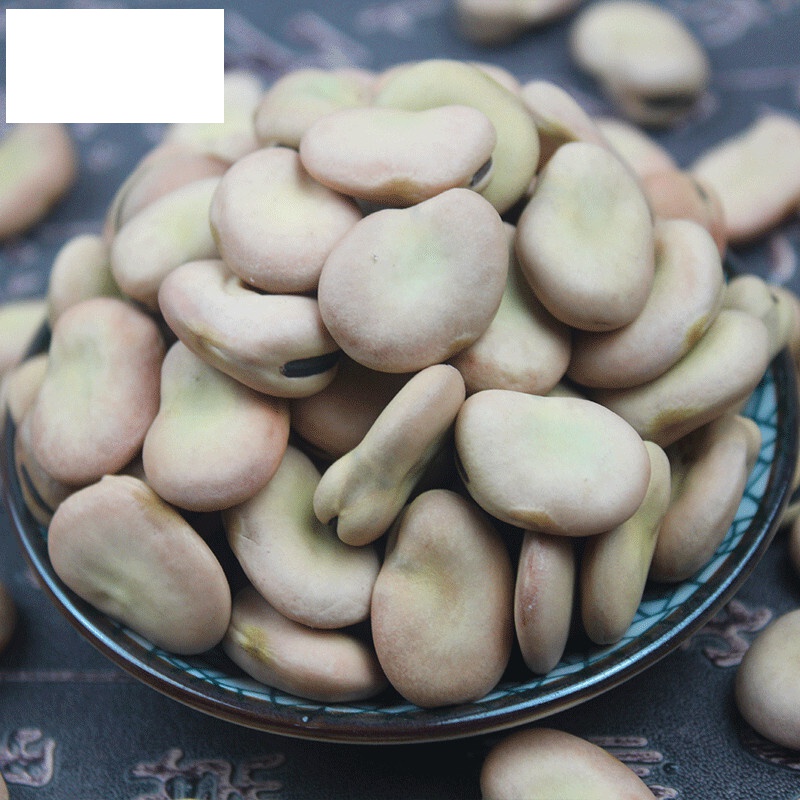 鲁骨梁 生新鲜发芽农家大新鲜 干新鲜 蚕豆新鲜 白新鲜 可白皮900g 芽