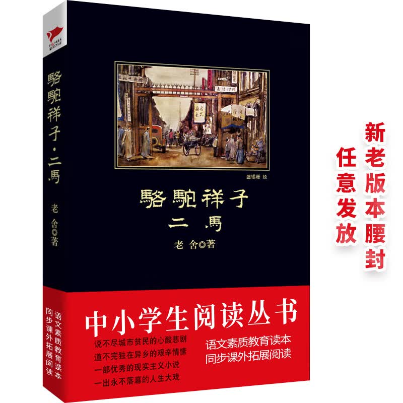 黑皮系列课外阅读：骆驼祥子·二马（见证一个小人物的沉浮命运，诠释一个大时代的悲怆面目）初中阅读