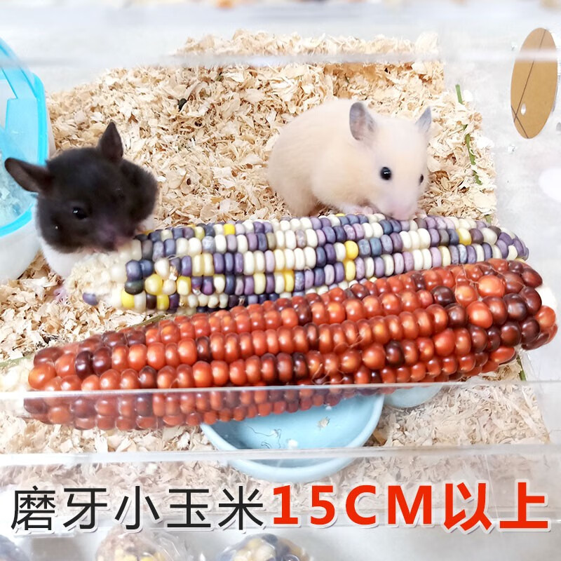 怎么看鼠类用品商品的历史价格|鼠类用品价格历史