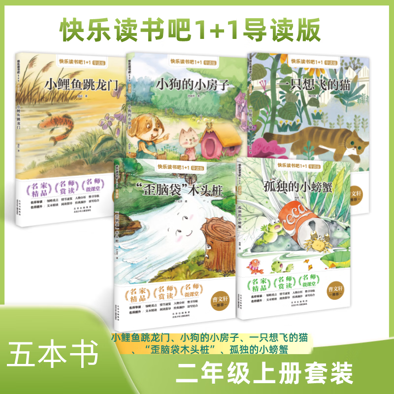 快乐读书吧1+1导读版 一只想飞的猫小鲤