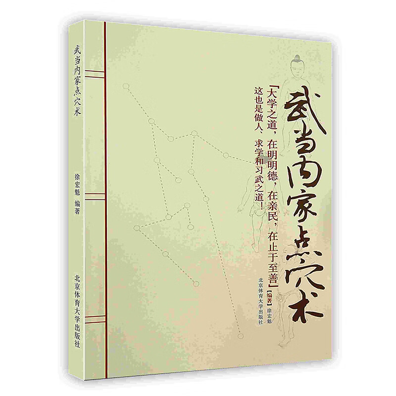 武当内家点穴术 36绝穴秘谱 真位详解 疗养点穴 技击点穴 武术教学书籍 北京体育大学出版社