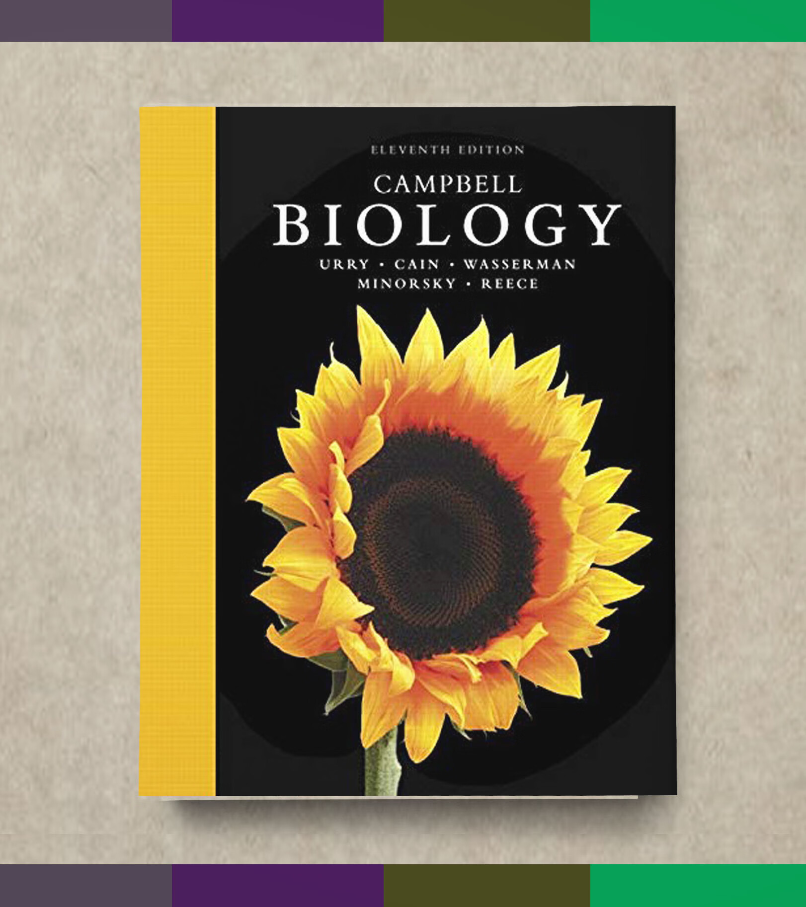 全彩现货/Campbell Biology 11th edition 电子版PDF