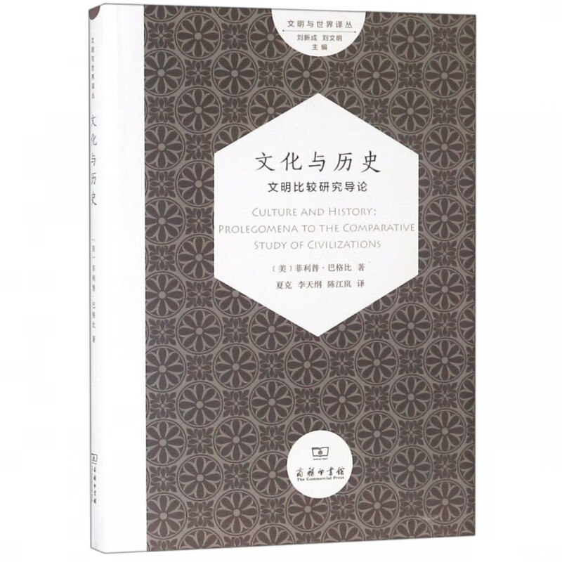 文化与历史(文明比较研究导论)(精)/文明与世界译丛
