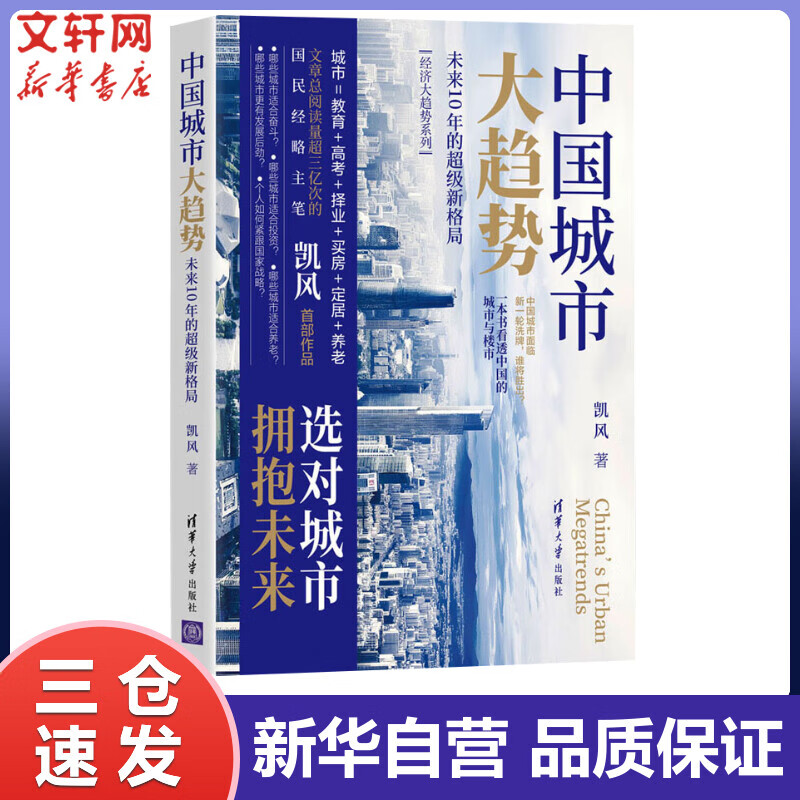 中国城市大趋势 未来10年的超级新格局 凯风 书籍