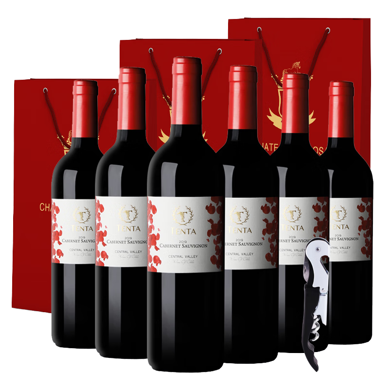 天帕（TENTA）智利中央山谷原瓶进口天帕赤霞珠干红葡萄酒品种级红酒 750ml*6瓶