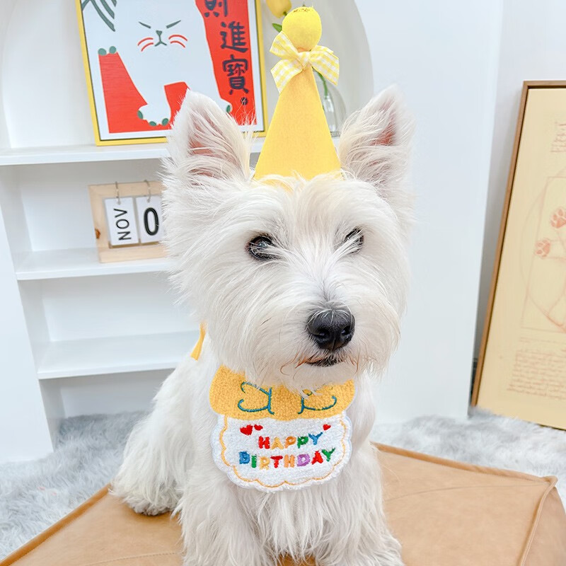 宠它星球猫咪狗狗生日装扮小狗帽子小猫头套宠物生日帽猫猫头饰围兜饰品猫 淘气黄【帽子+围兜一套】 推荐50斤内使用-具体参考尺码怎么看?