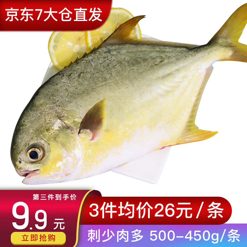鲜博汇 南海新鲜海捕金鲳鱼 冷冻鱼类平鱼金昌鱼 500-450g 一条袋装
