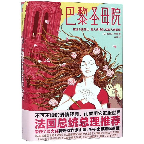 巴黎圣母院(精)