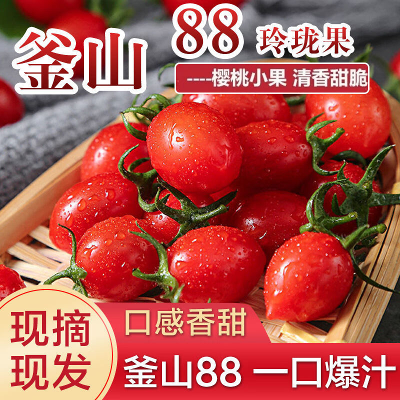 青岛釜山88玲珑小番茄圣女果超甜生吃新鲜现摘自然熟 盒装5斤【80%