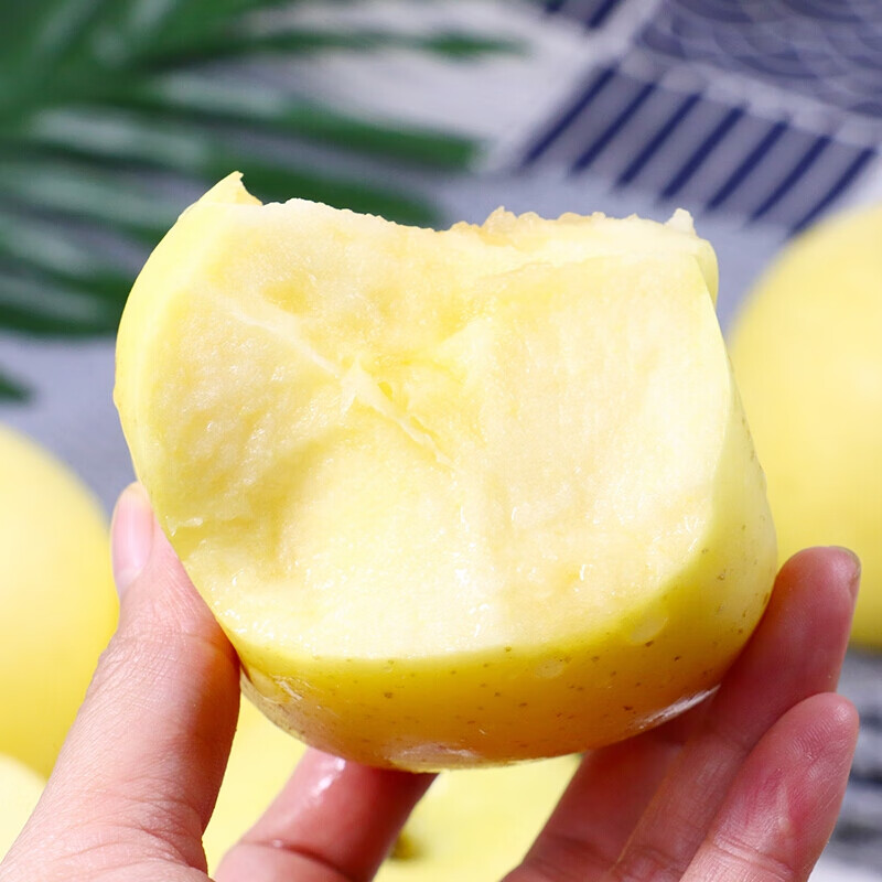 【京鲜配送】黄元帅金帅苹果5斤粉面刮泥甜粉沙当季新鲜水果整箱 2.