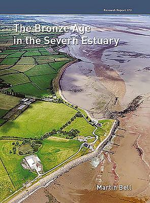 预订the bronze age in the severn estuary