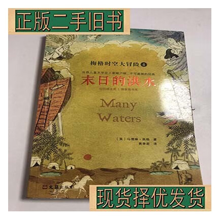 二手/梅格时空大冒险(4)末日的洪水 /