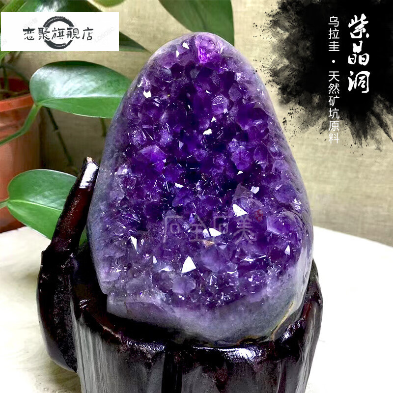 戀聚天然烏拉圭紫水晶洞原石 紫晶塊紫晶簇擺件 紫水晶洞聚寶盆消磁石 50-99g紫水晶塊