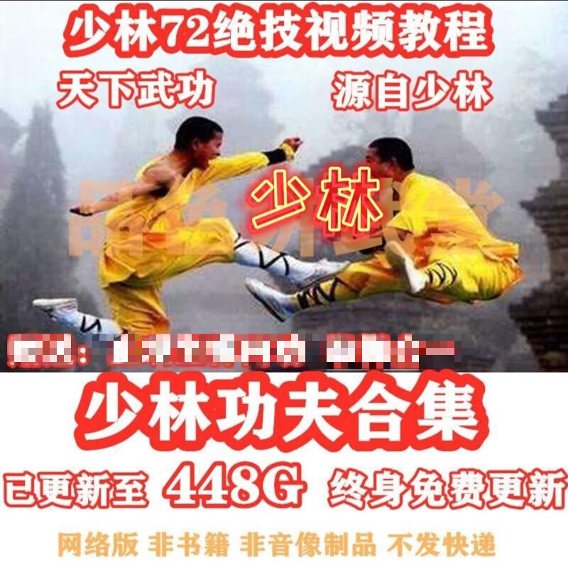 【百度网盘发货】少林功夫视频教程武术外家拳72绝技器械视频少林拳法