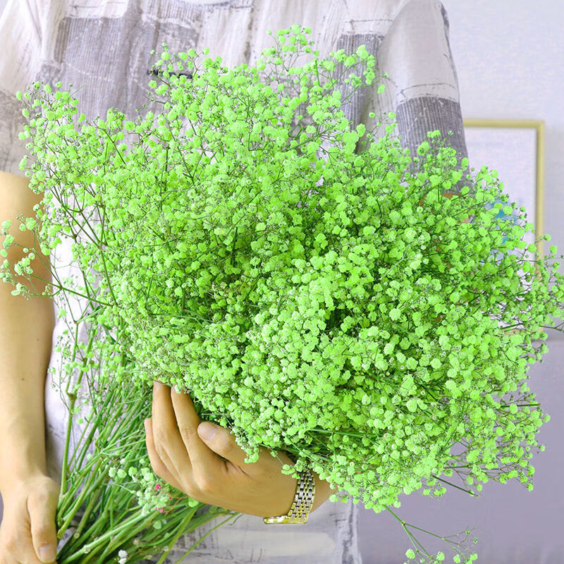 云南直发大束满天星干花花束真花鲜花装饰摆件人生日