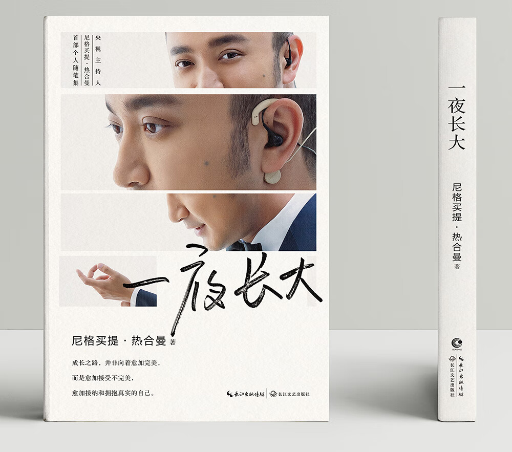 尼格买提：一夜长大 央视主持人自传 励志随笔