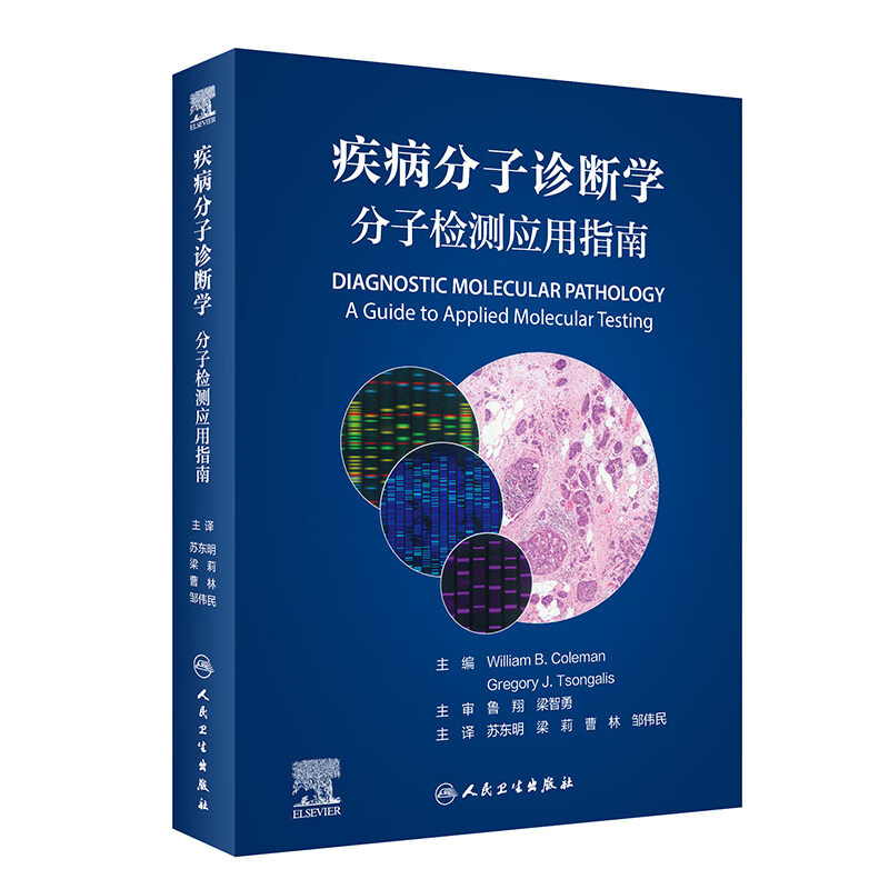 正版现货 疾病分子诊断学：分子检测应用指南（翻译版）分子病理诊断实用指南 疾病基础知识人民卫生出版社