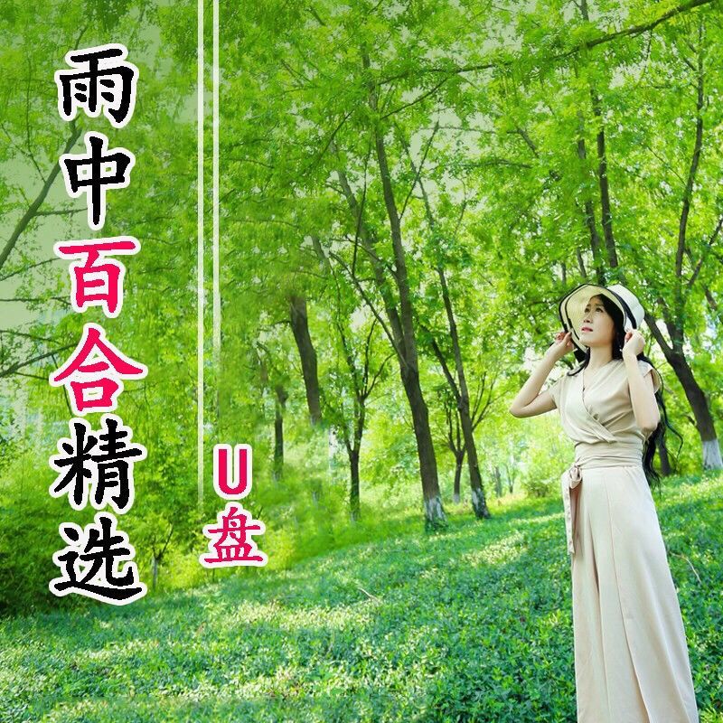 振函荭雨中百合汽车载音乐u盘 usb音乐歌曲优盘如果爱还在网络伤感