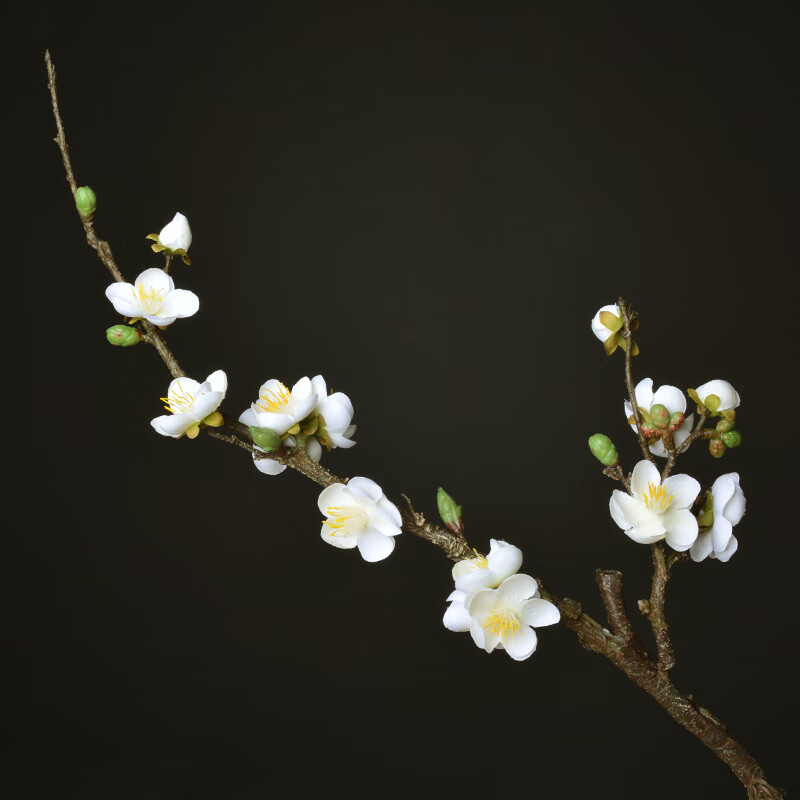 妙普乐禅意干枝中式仿真花禅意花瓶摆件客厅插花腊 白色腊梅花