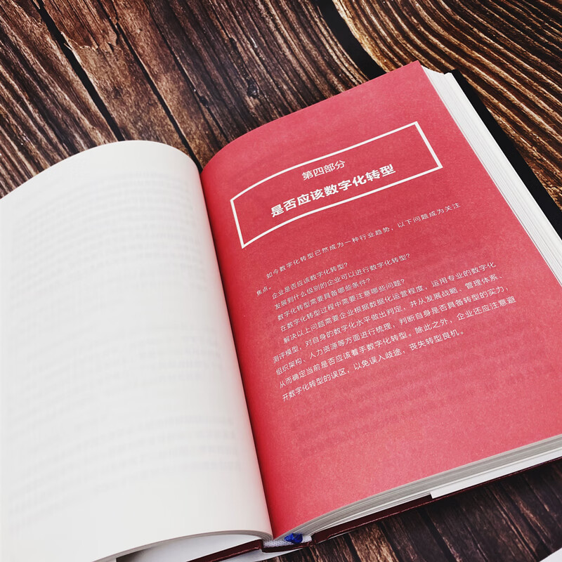 数字化转型方法论：落地路径与数据中台（国云数据官方出品）详情图