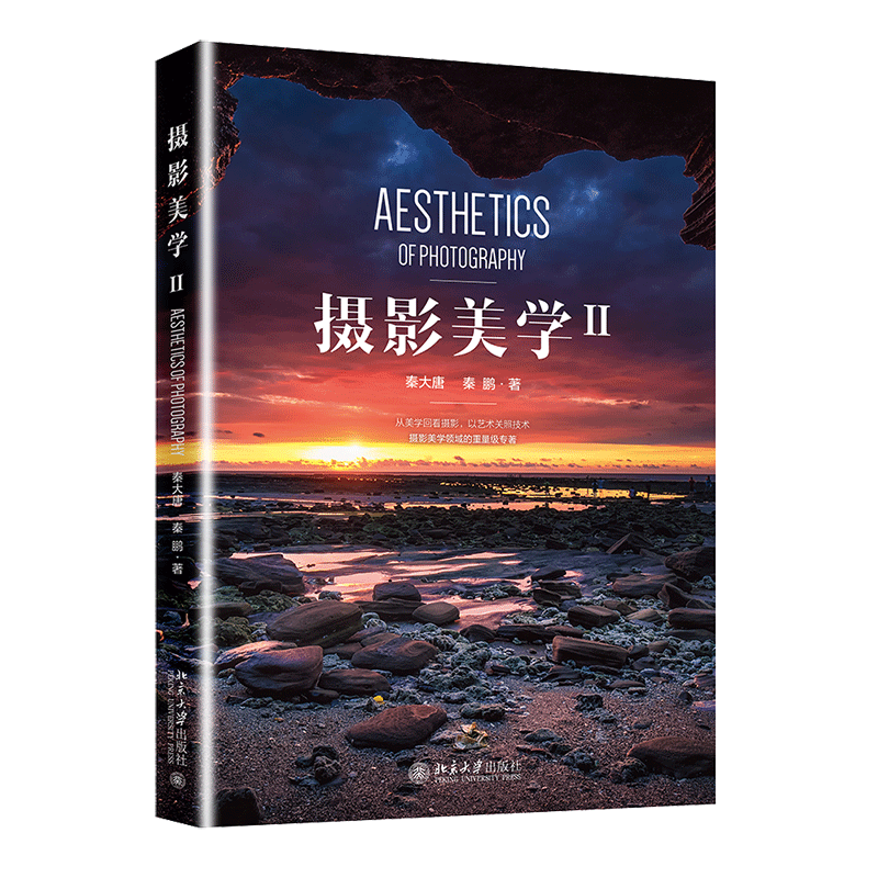 摄影美学2 Ⅱ 秦大唐 秦鹏 著 摄影书籍技巧大全 构图学入门教材书籍 摄影美学基础后期教程 手机摄影拍摄技巧一本入门