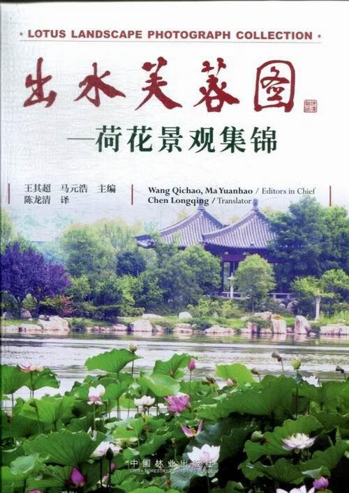 出水芙蓉图-荷花景观集锦/王其超/摄影/9787503870453
