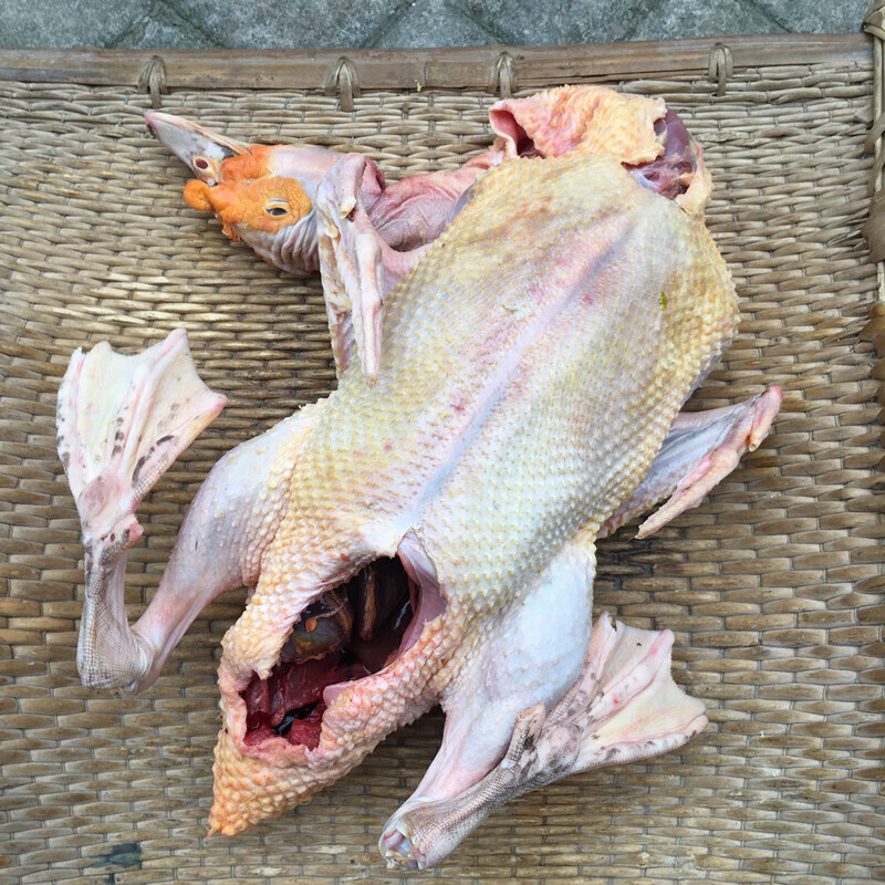 涉鲜农家散养土番鸭红脸鸭土鸭老鸭藤子洋鸭老鸭子新鲜大公番鸭现杀