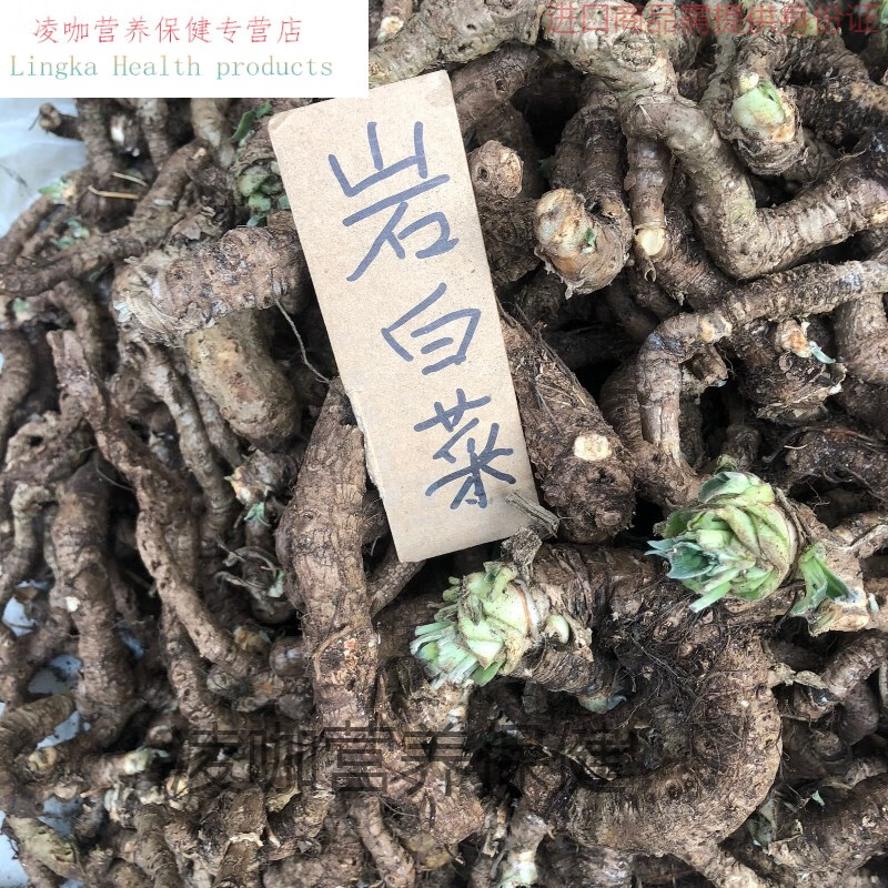 广西岩白菜 岩壁菜,石白菜,岩七,红岩七,雪头开花 一斤