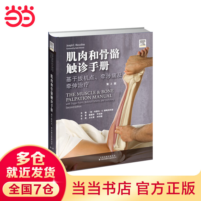 肌肉和骨骼触诊：基于扳机点、牵涉痛及牵伸治疗（第2版）
