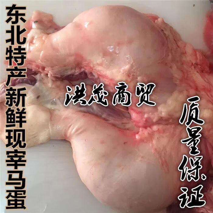 伟博东北散养草地马新鲜现宰马鞭蛋 新鲜速冻马鞭蛋2.