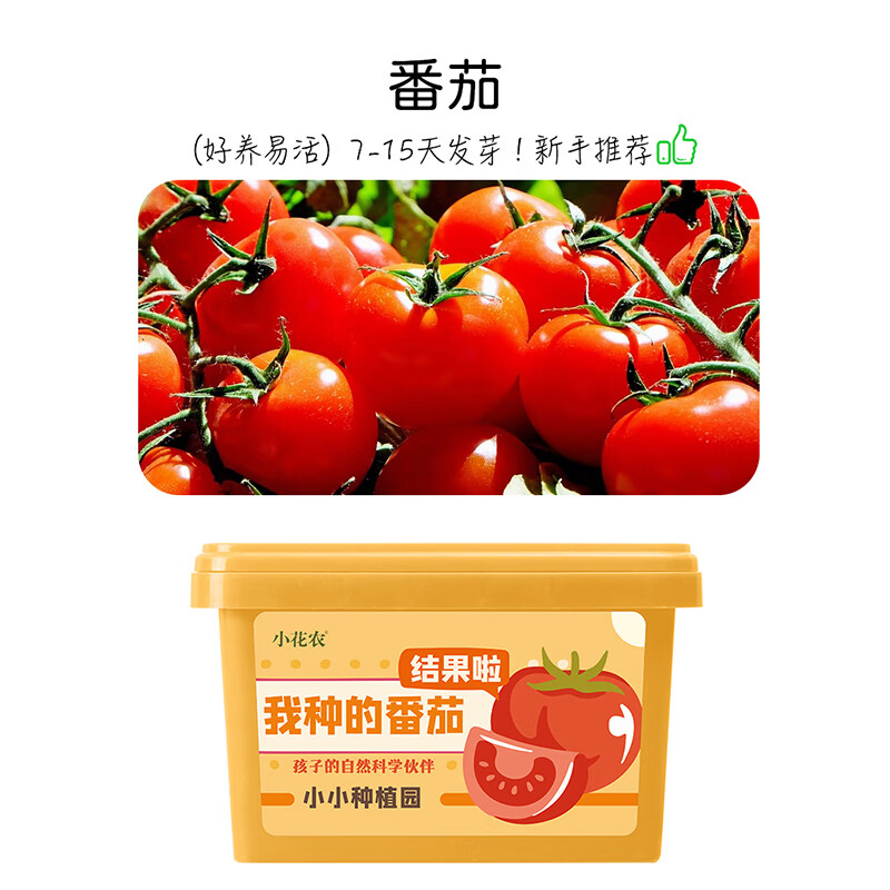 俏皮谷儿童种植小盆栽番茄生长实验观察阳光房玩具植物箱男女孩生日节日礼物属于什么档次？