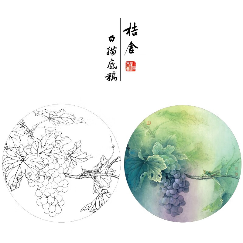 桔舍李晓明工笔画白描底稿葡萄蝗虫圆形小品原大40*40厘米花鸟线稿带
