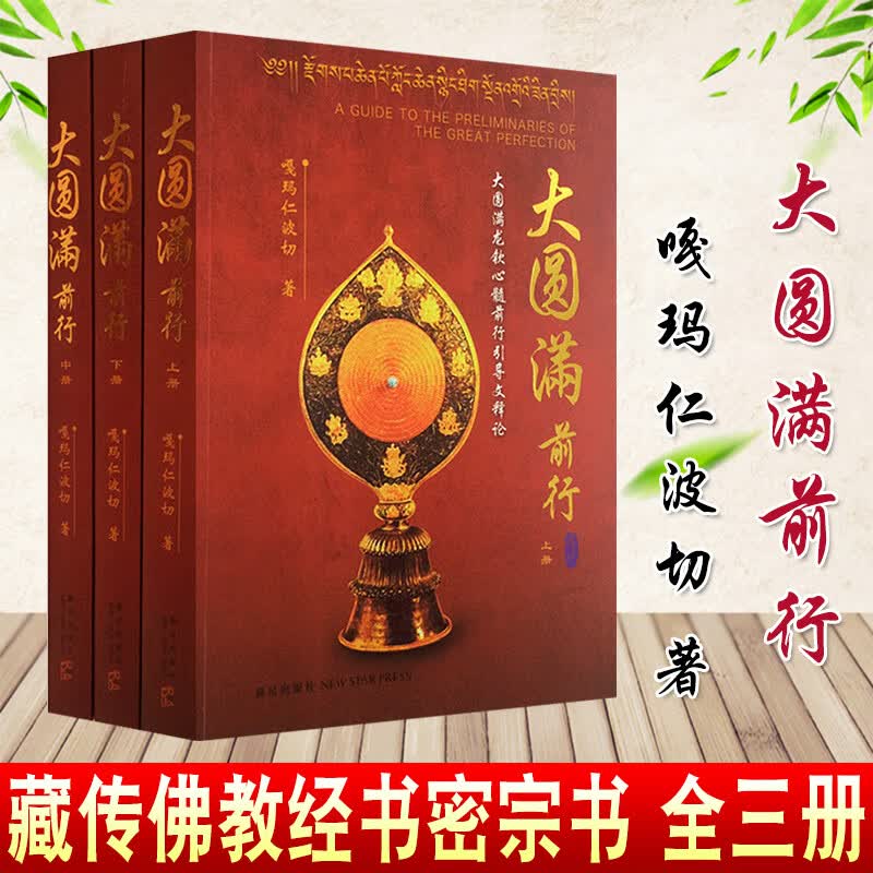 新华 大圆满前行（全三册）嘎玛仁波切著 大圆满龙钦心髓前行引导文释论藏传佛教经书藏密书密宗书籍西藏佛