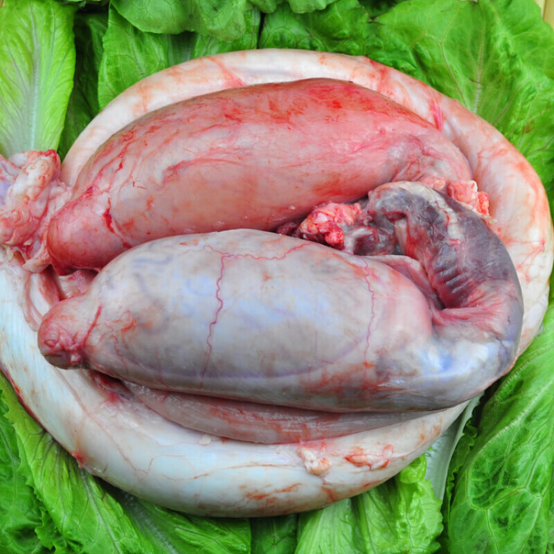 皓谦新鲜牛鞭整套3斤牛鞭牛宝生牛鞭熟食牛蛋1-10斤黄牛肉 牛鞭1条 2