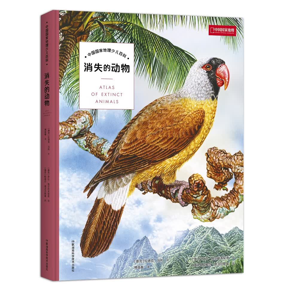 [正版图书]消失的动物
