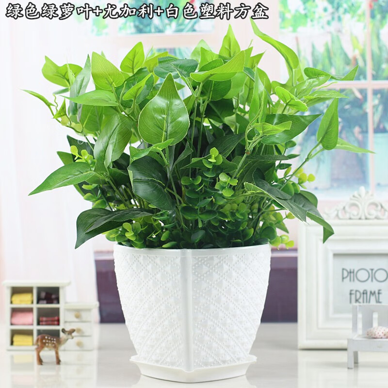 白色方瓶 绿色绿萝套装