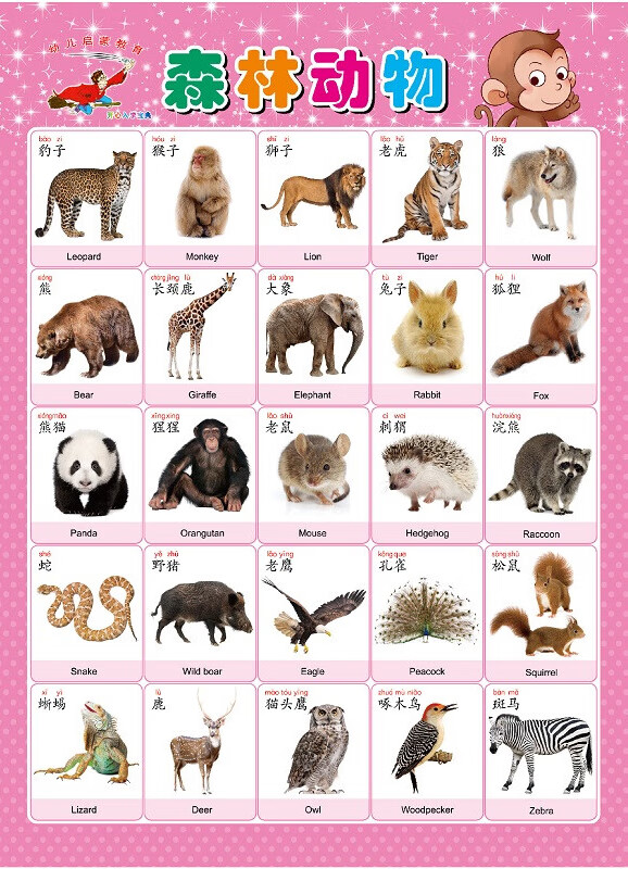 1一100数字认知墙贴认识幼儿卡片早教工具 杏色 森林动物