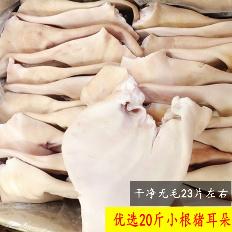十里馋新鲜冷猪耳朵 耳片一箱20 跟小干净生猪耳卤菜店饭店食材23片