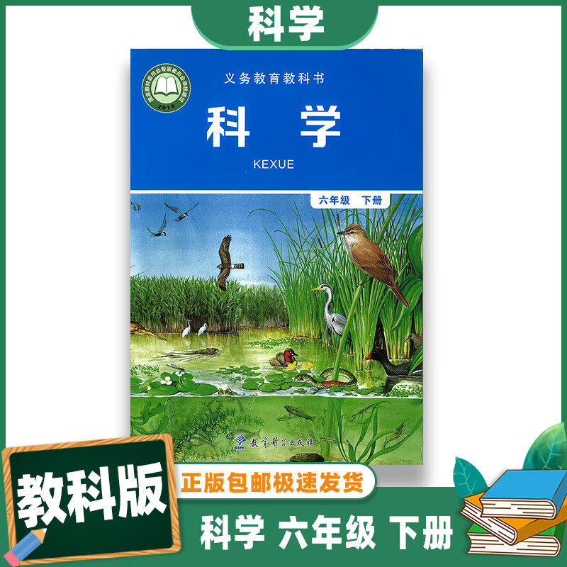 正版2022新版 科学六年级 下册 6年级下册科学书 课本 教材 学生用书 教育科学出版社 教科版六下科学书