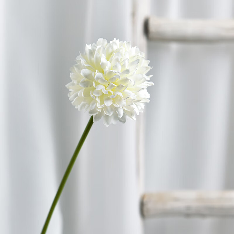 小清新球菊乒乓菊牡丹假花仿真花客厅摆设花瓶装饰品餐桌sn3653 白色