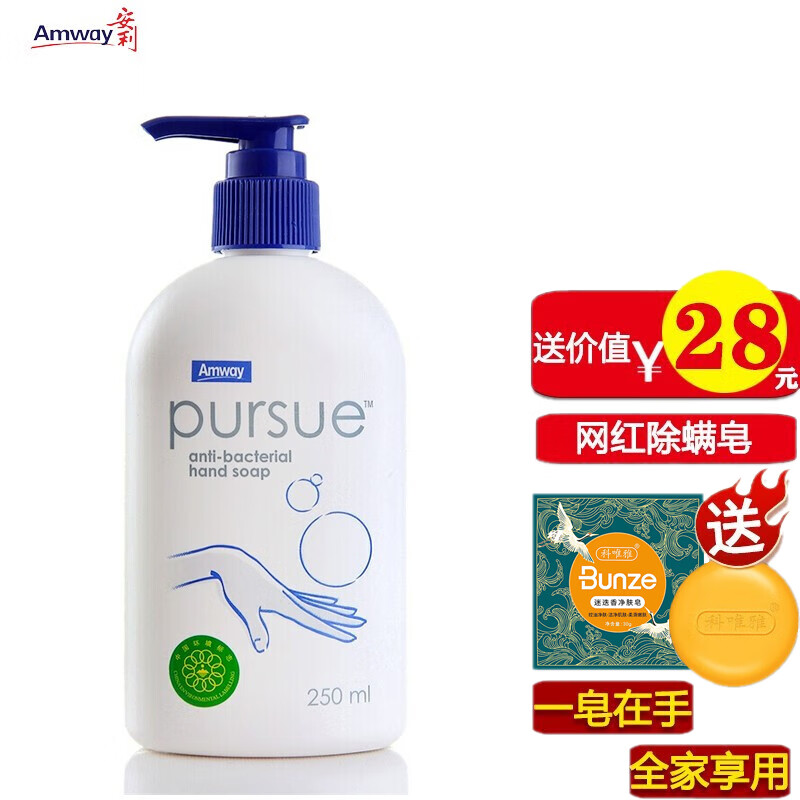 安利 amway  必速洗手液250ml(温和清洁手部肌肤) 1瓶