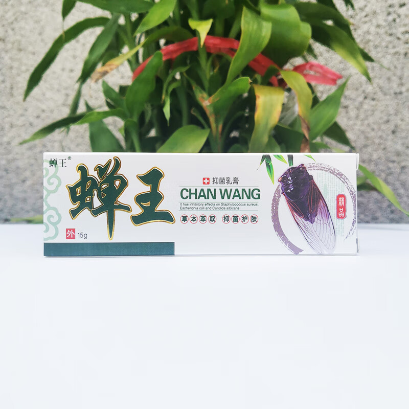 蝉王乳膏抑菌软膏皮肤外用婵王乳膏15克大人儿童 2盒